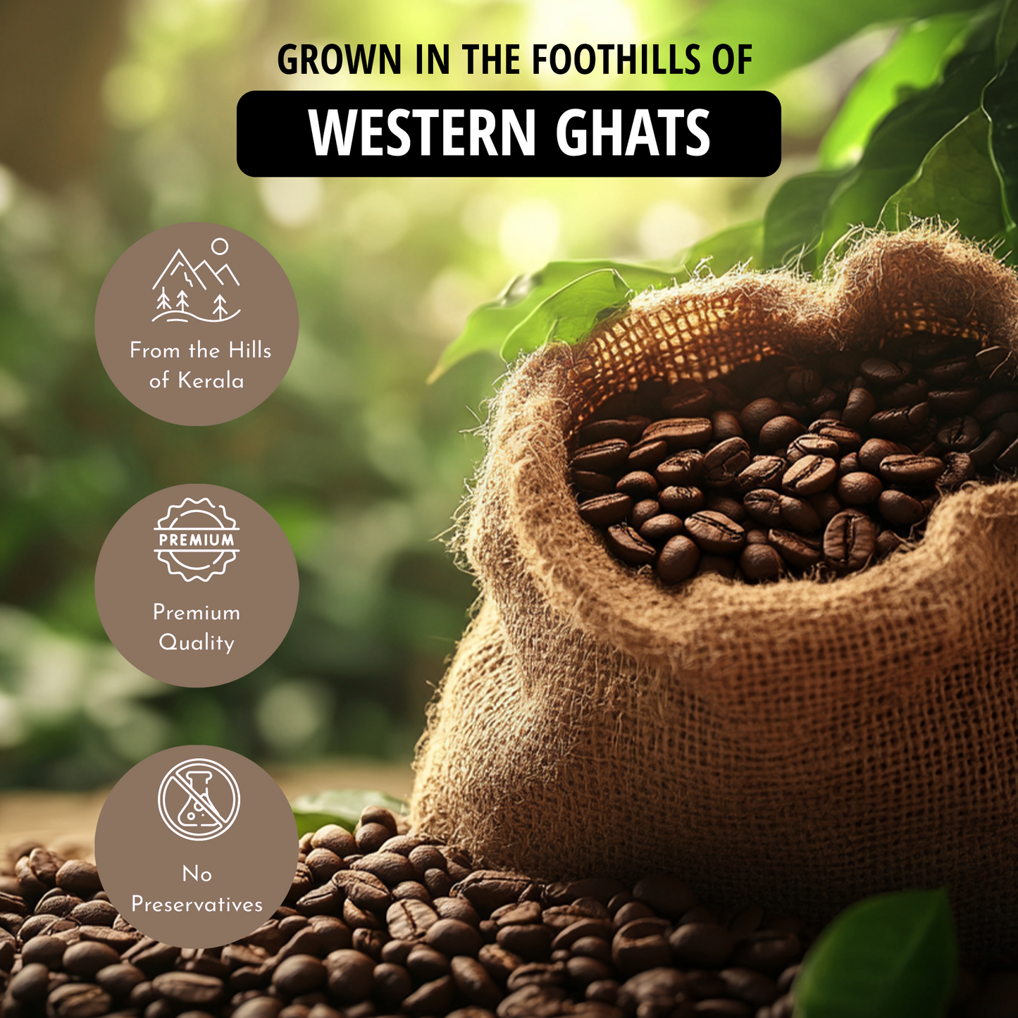 Premium Wayanadan Filter Coffee Powder – Organically Grown in Kerala's Western Ghats