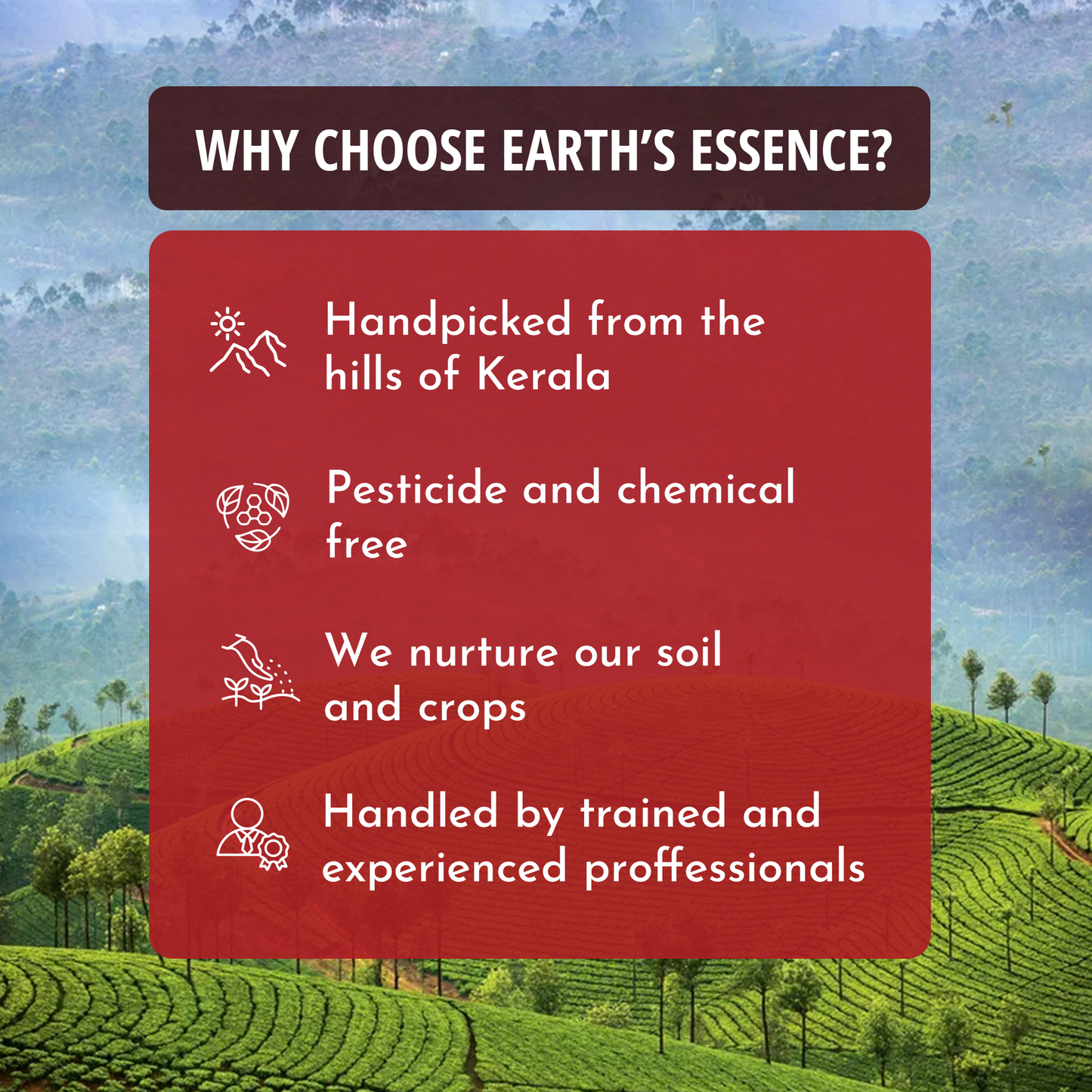 Earth's Essence Premium Whole Spice Mix (Pack of 6)- Organically Grown in Kerala's Western Ghats