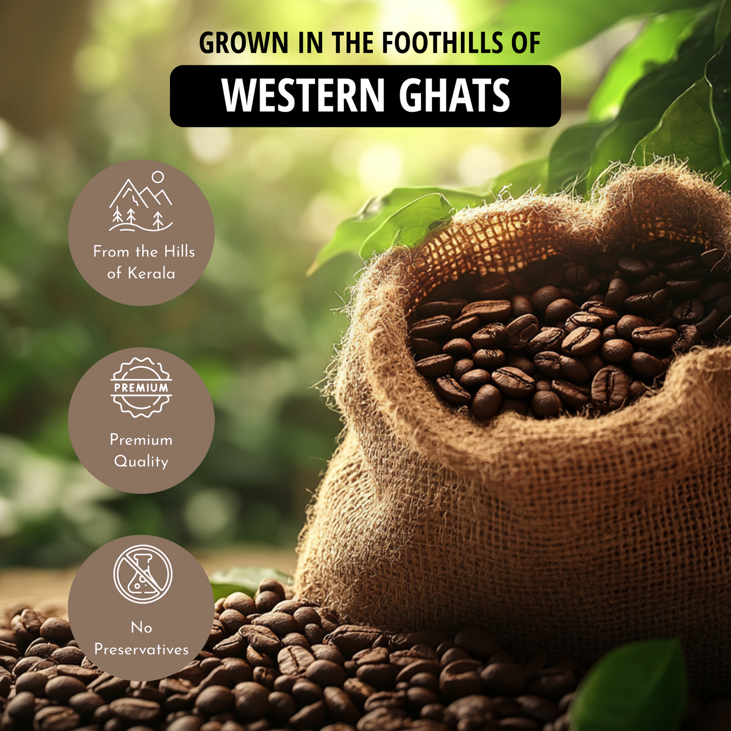 Earth's Essence Wayanadan Filter Coffee Powder – Organically Grown in Kerala's Western Ghats