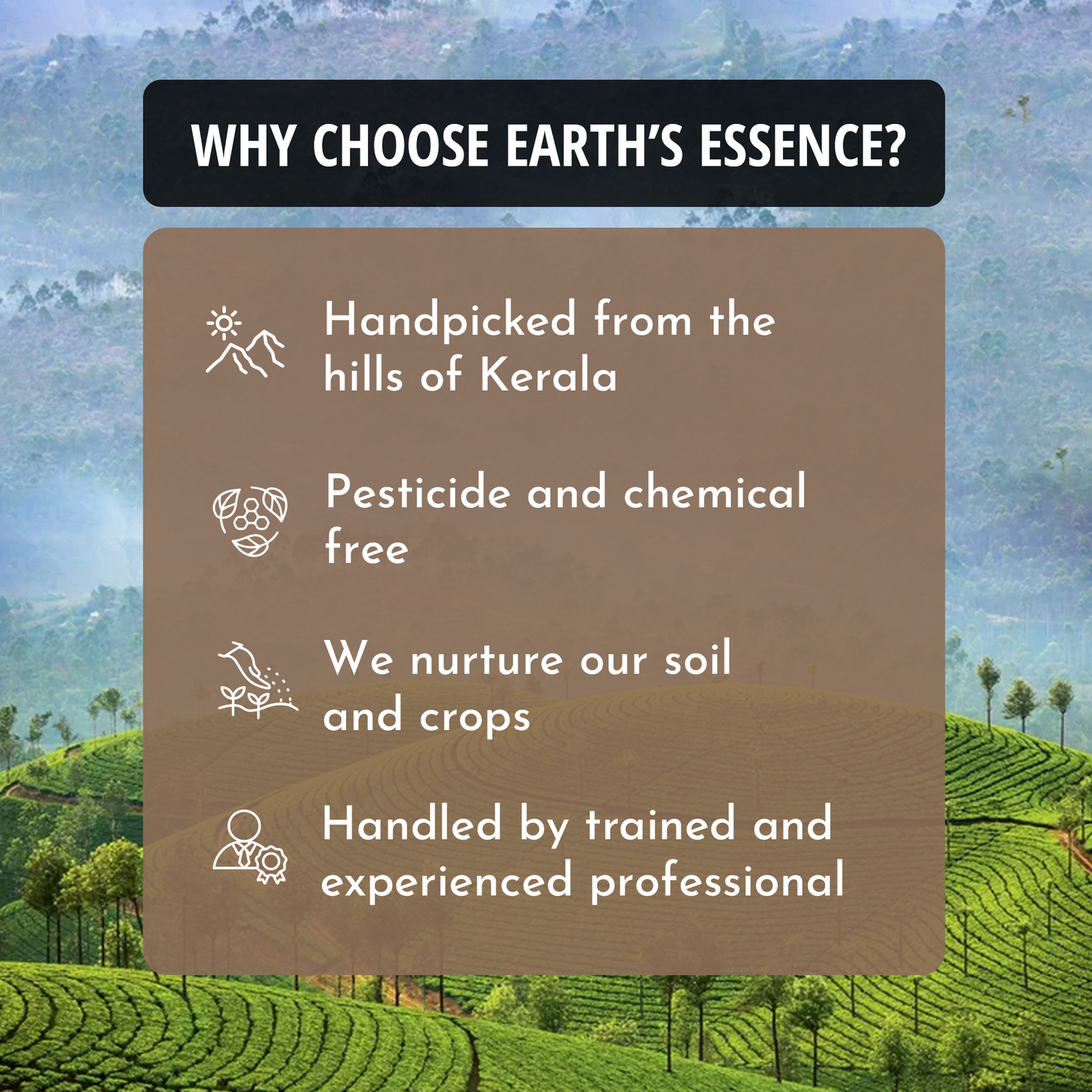 Earth's Essence Wayanadan Filter Coffee Powder – Organically Grown in Kerala's Western Ghats