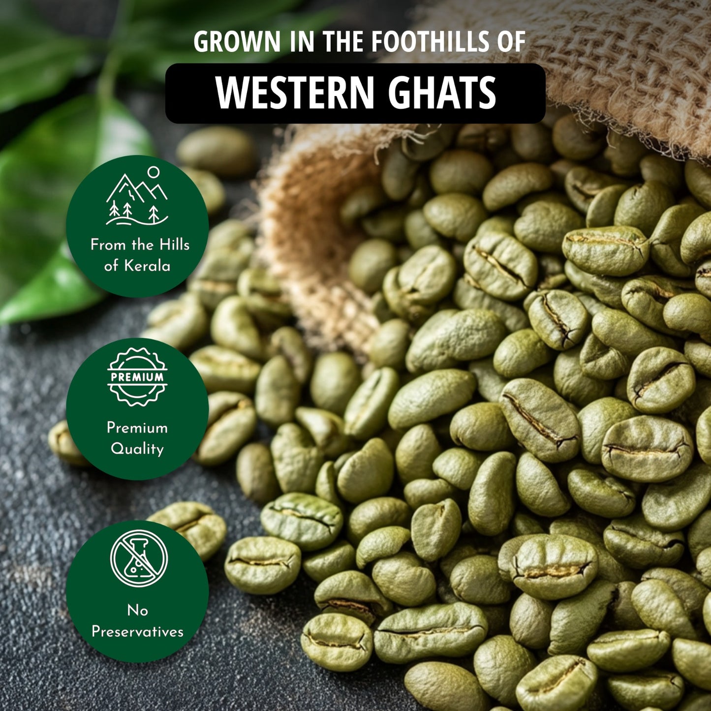 Earth's Essence Pure Green Coffee Powder- Organically Grown in Kerala's Western Ghats